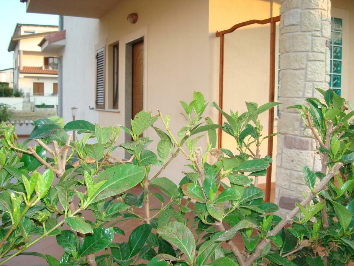 Guest House Mare E Luna Fiumefreddo Bruzio Bagian luar foto